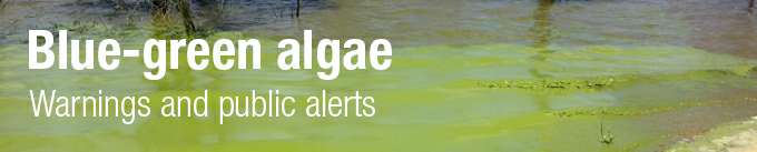 Blue Green Algae page header