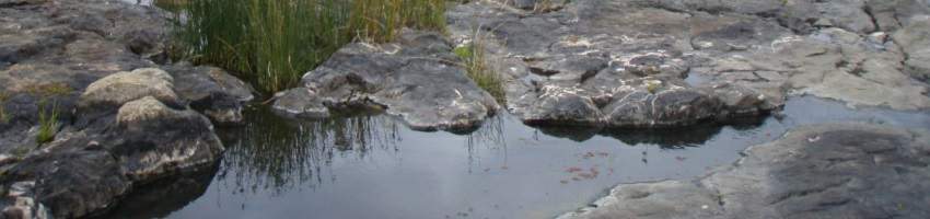 Turpin Falls in the Central Victorian Mineral Springs GMA