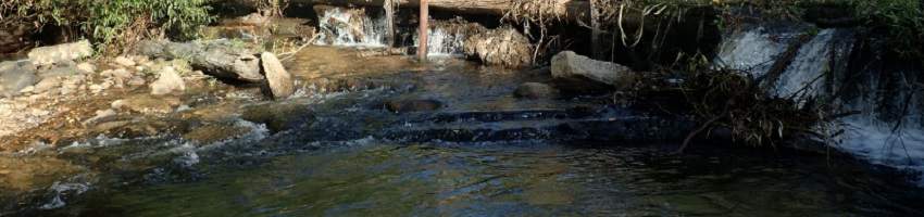 A running creek in the Upper Ovens area.