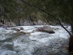 Kiewa River Mount Beauty