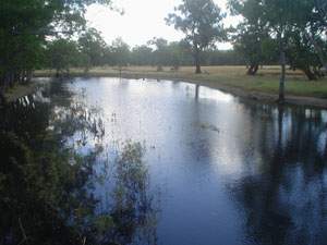 Blackwater at Boosey Creek Blackwater at Boosey Creek