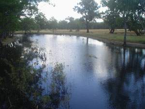 Blackwater at Boosey Creek