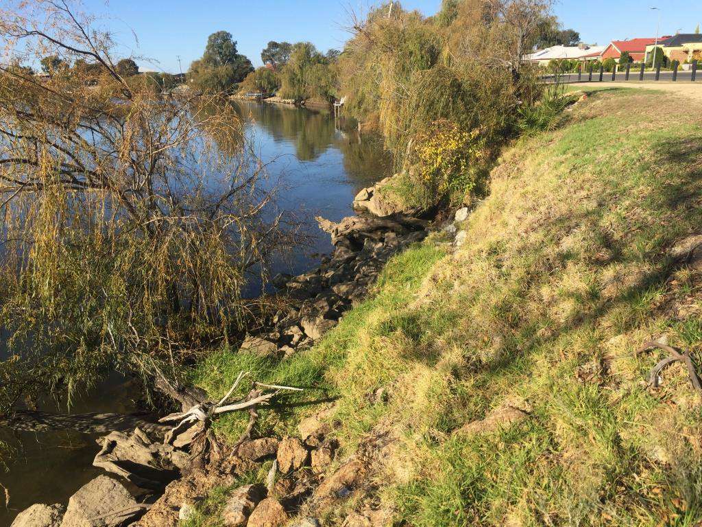 Lake Mulwala foreshore before the works Lake Mulwala foreshore before the works