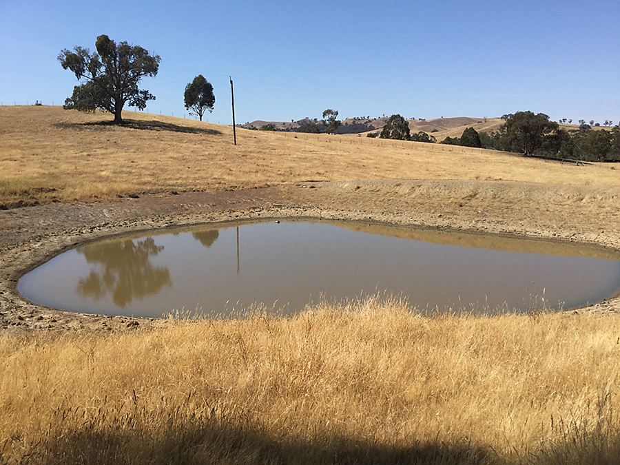 Bridge over Lake Hume