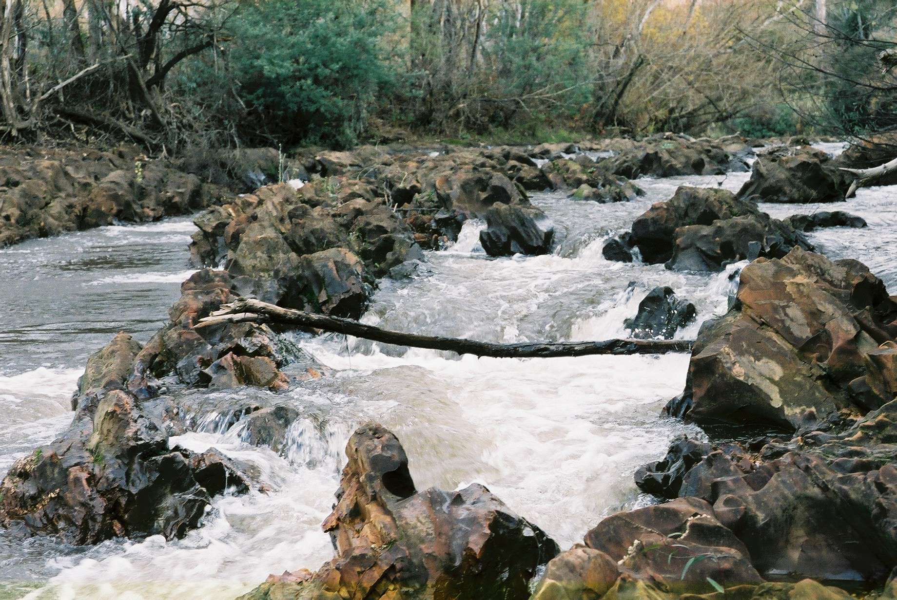 Photo of a river