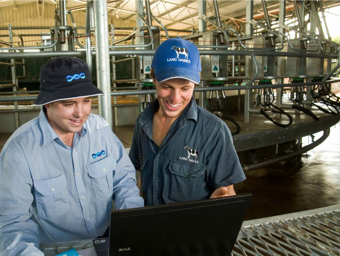 GMW staff member shaking hands with customer in a paddock