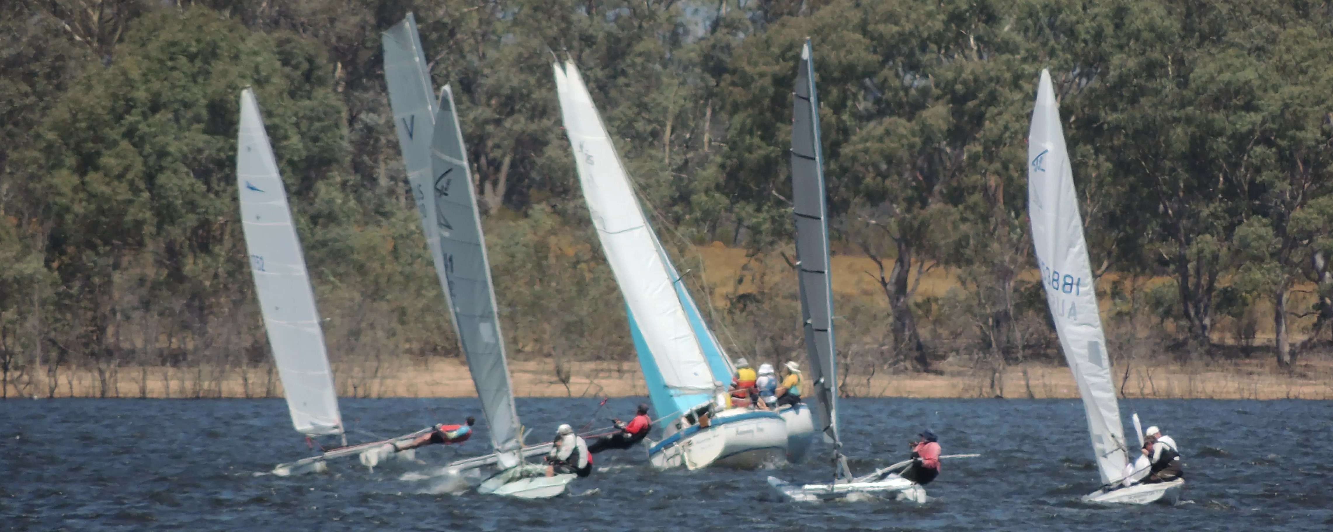 Photograph of a flotilla of single person boats on the water